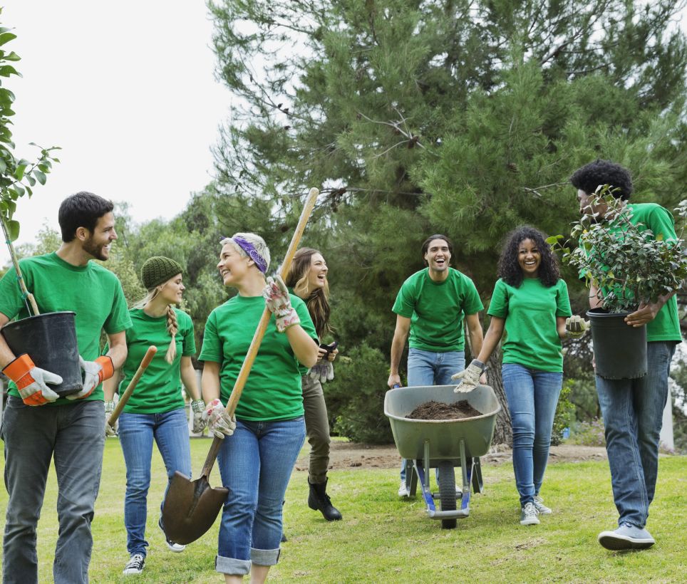 An image of people planting trees together for the environment.